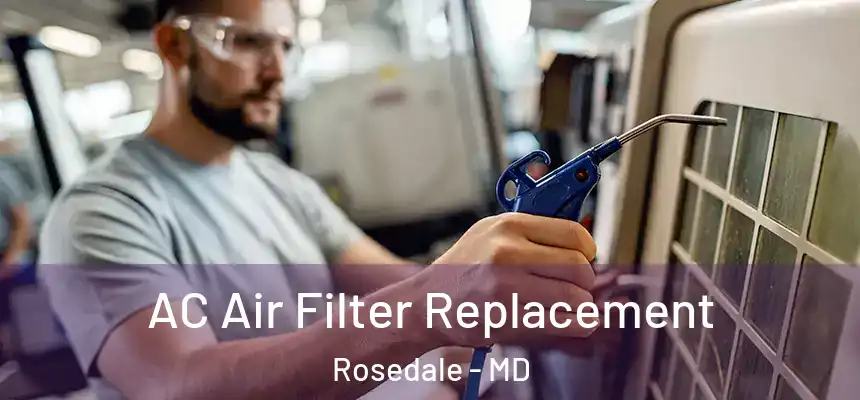  AC Air Filter Replacement Rosedale - MD