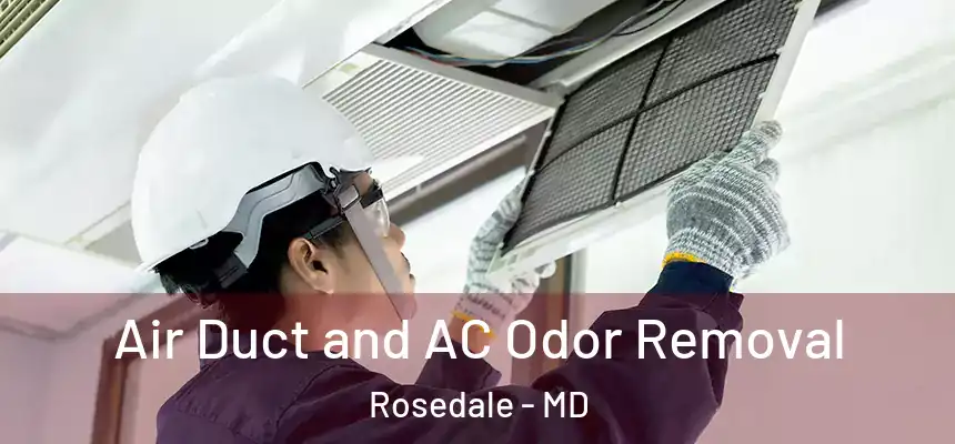 Air Duct and AC Odor Removal Rosedale - MD