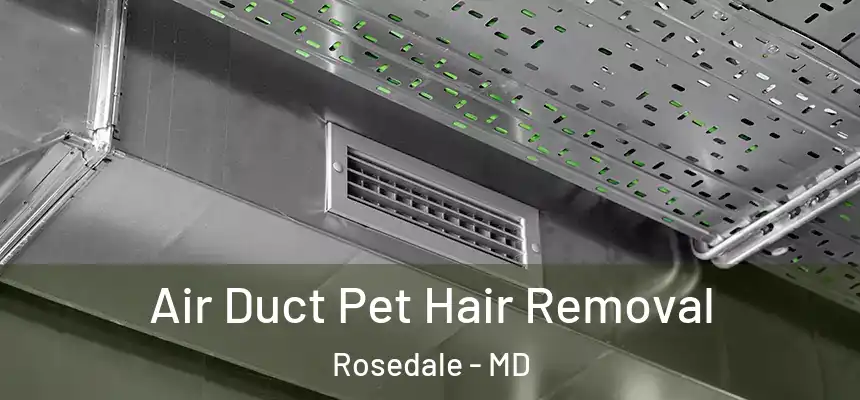 Air Duct Pet Hair Removal Rosedale - MD