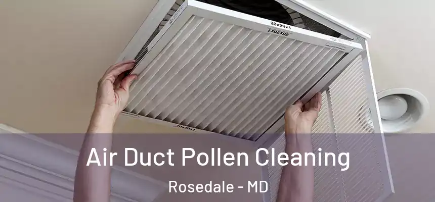 Air Duct Pollen Cleaning Rosedale - MD