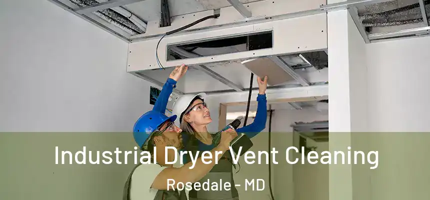  Industrial Dryer Vent Cleaning Rosedale - MD