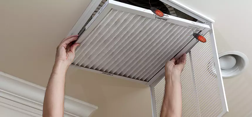 Preventive Cockroach-Proofing for Ducts in Rosedale