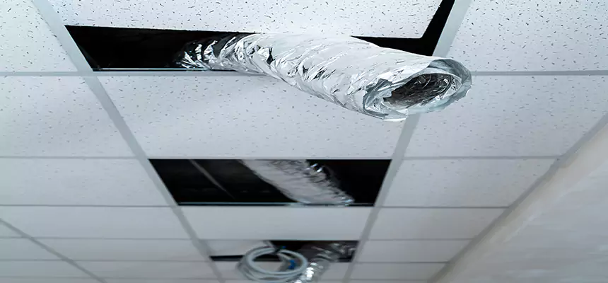 Our Air Duct Pet Hair Removal Services in Rosedale, MD