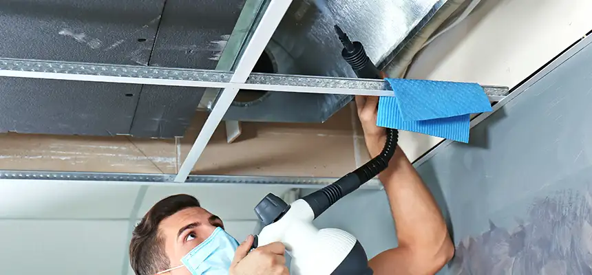 Our Air Duct Rodent Removal Services in Rosedale, MD