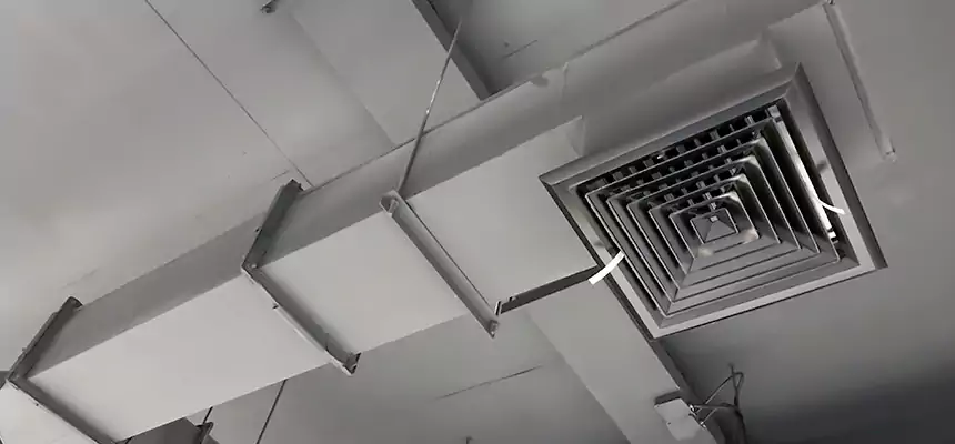 Our Rodent Droppings In Vents Services in Rosedale, MD