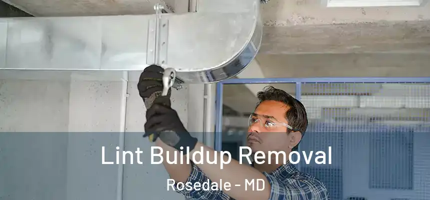 Lint Buildup Removal Rosedale - MD