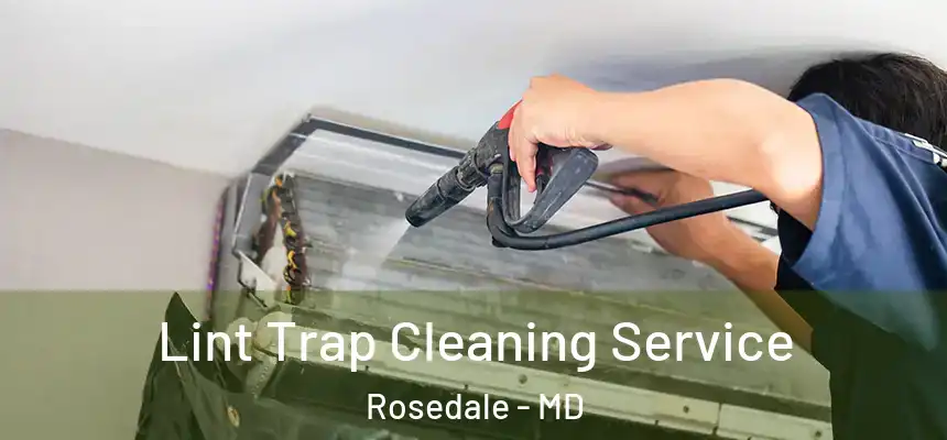 Lint Trap Cleaning Service Rosedale - MD