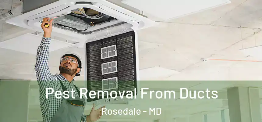 Pest Removal From Ducts Rosedale - MD