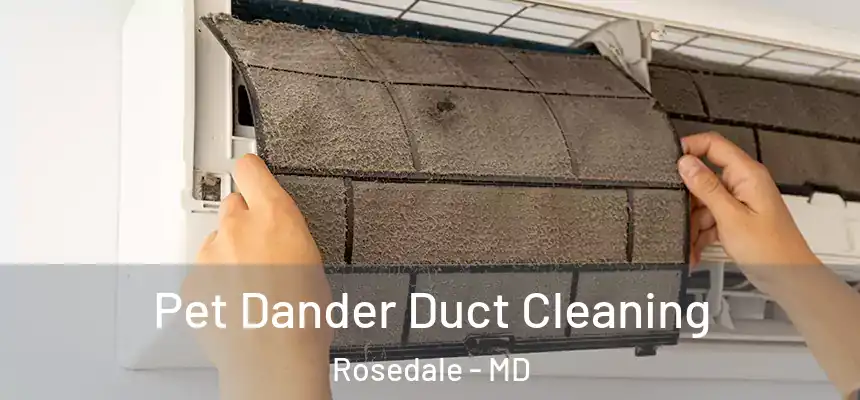  Pet Dander Duct Cleaning Rosedale - MD