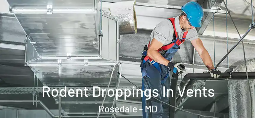 Rodent Droppings In Vents Rosedale - MD