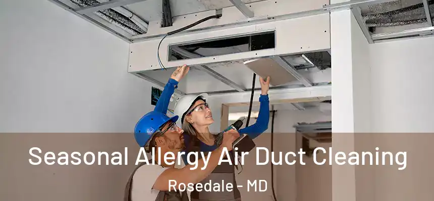 Seasonal Allergy Air Duct Cleaning Rosedale - MD