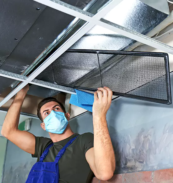 About Air Duct Bacteria Removal in Rosedale
