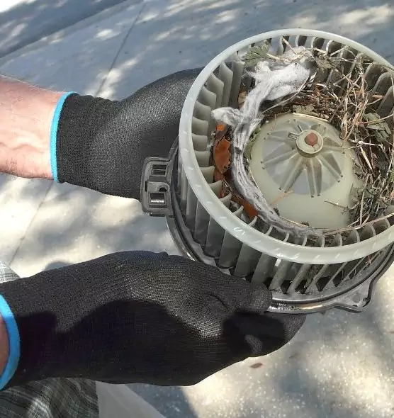 About Air Duct Rat Removal in Rosedale, MD