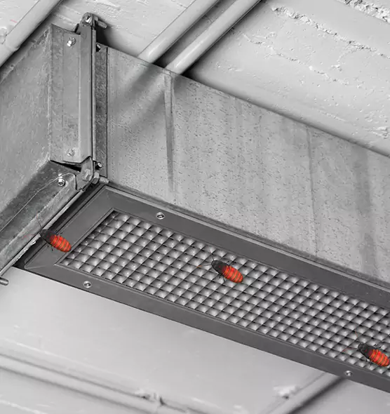 Affordable Insect Removal from Air Ducts in Rosedale, MD