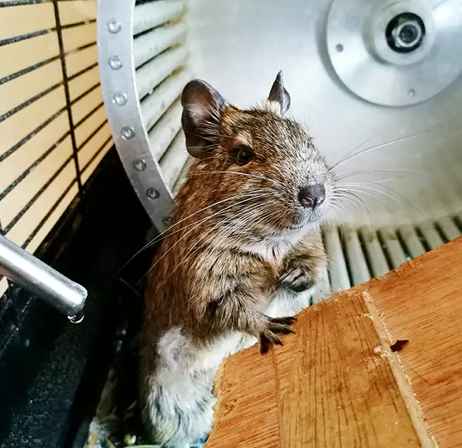 Why Homeowners & Businesses Trust Us Rosedale, MD?