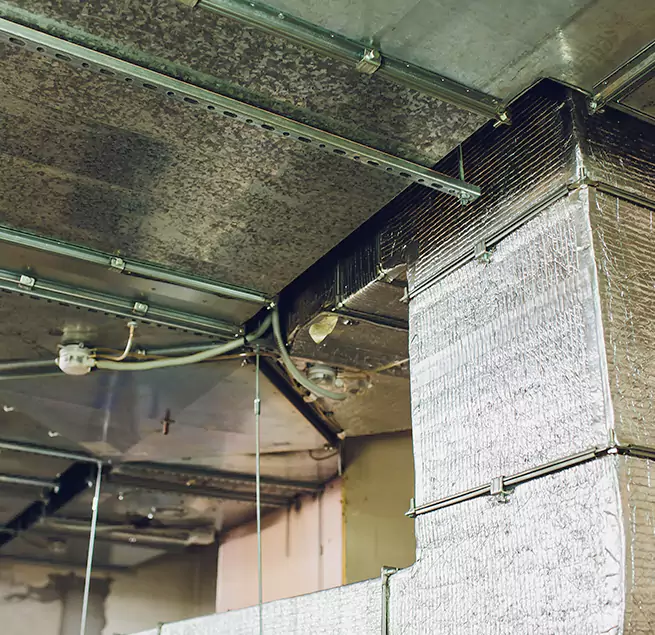 Why Homeowners & Businesses Trust Us in Rosedale, MD?