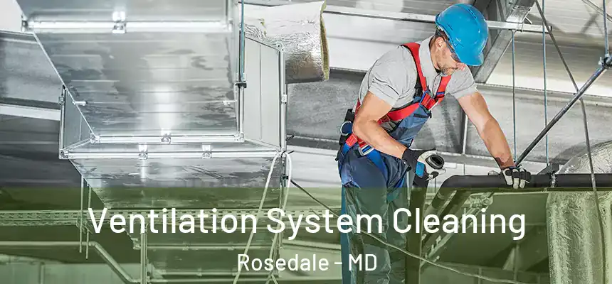  Ventilation System Cleaning Rosedale - MD